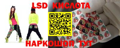 ешки Владимир