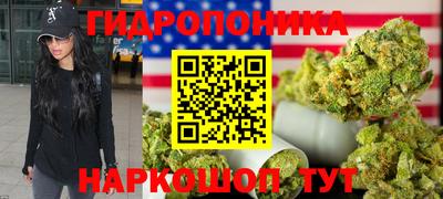 ешки Владимир