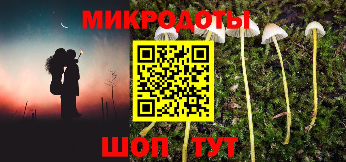Галлюциногенные грибы MAGIC MUSHROOMS Новокубанск