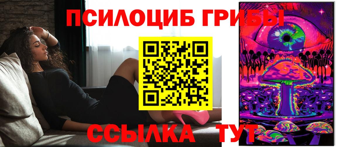 Новокубанск  Галлюциногенные грибы GOLDEN TEACHER  Вход с VPN 