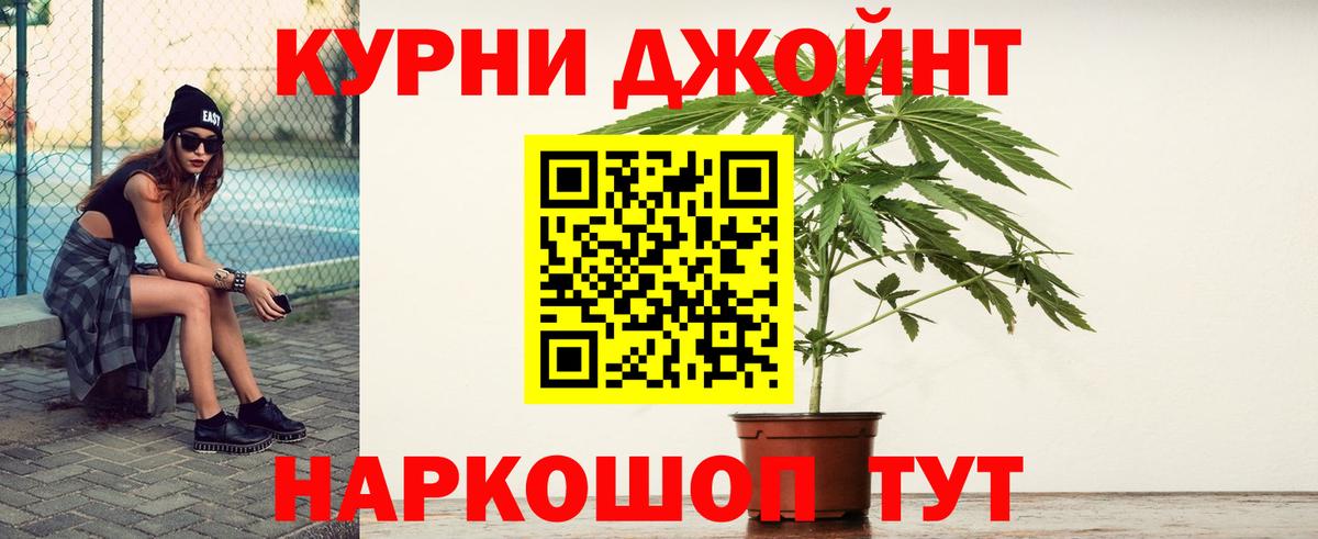 Каннабис OG Kush Новокубанск